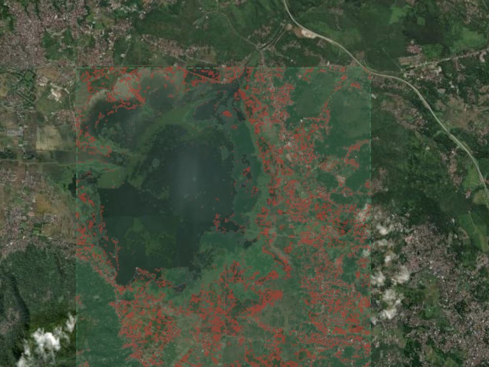 Canopy condition zones relative to surrounding vegetation.