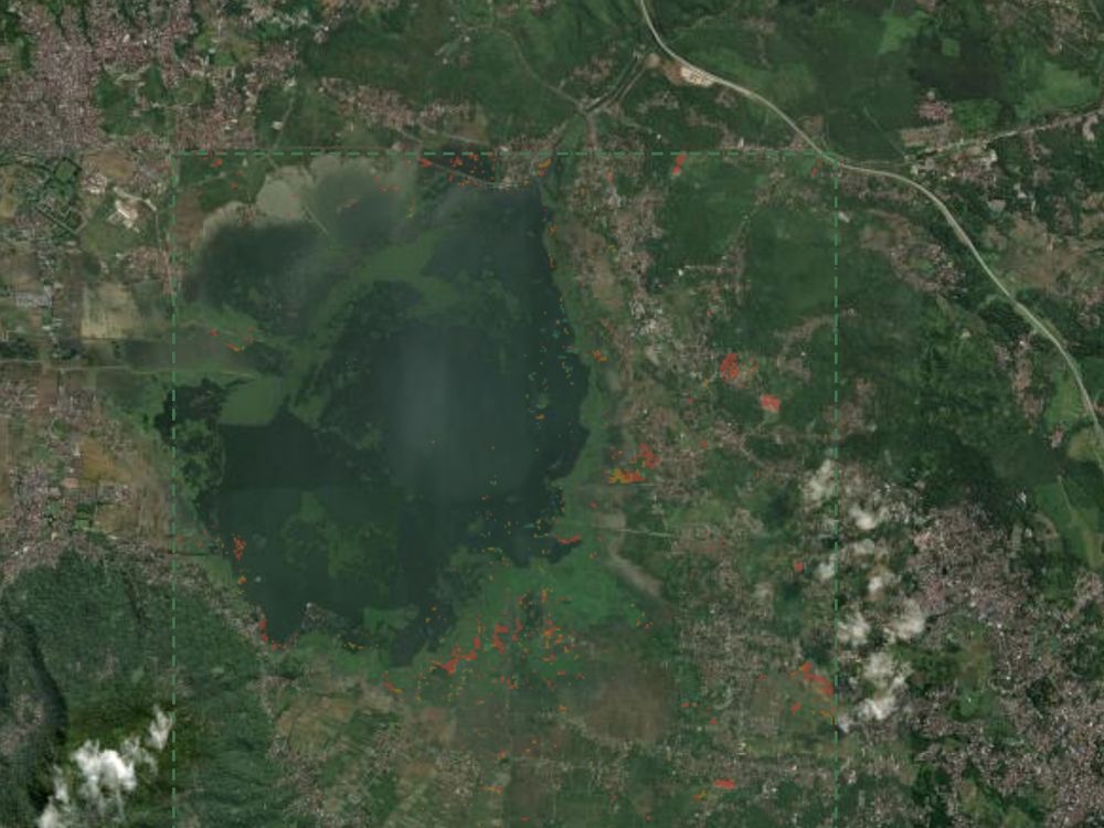 Forest trajectory zones classed as persistent loss, recovering and recovered.
