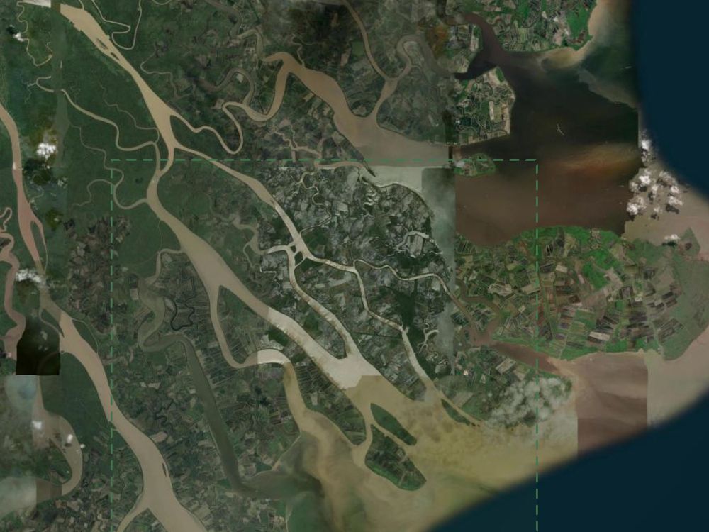 A three-period mangrove trajectory run that returned no zones.